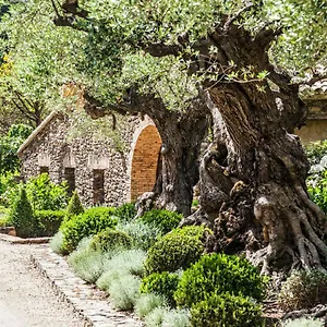 Гостевой дом Domaine Les Mesanges, Гассен